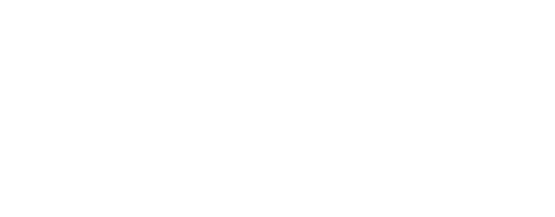 Nuleep logo