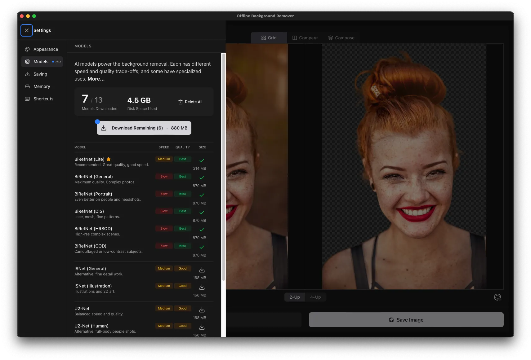 Model manager showing 13 available AI models
