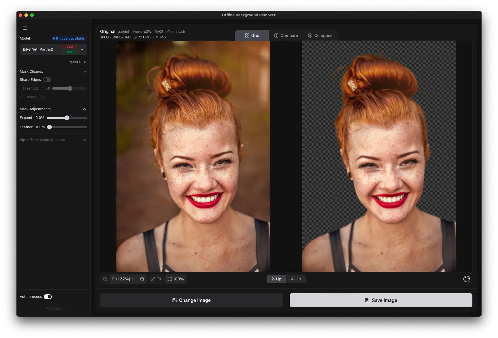 Offline Background Remover showing before and after side-by-side view